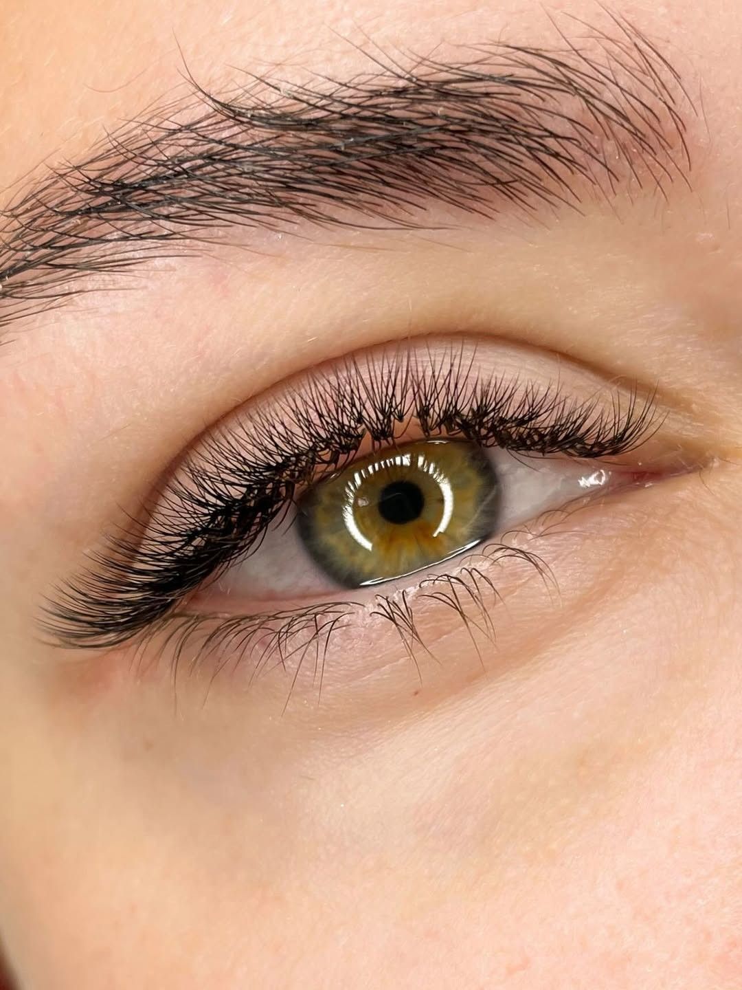 Natuurlijke set bij een hazelnootbruin oog, van dichtbij